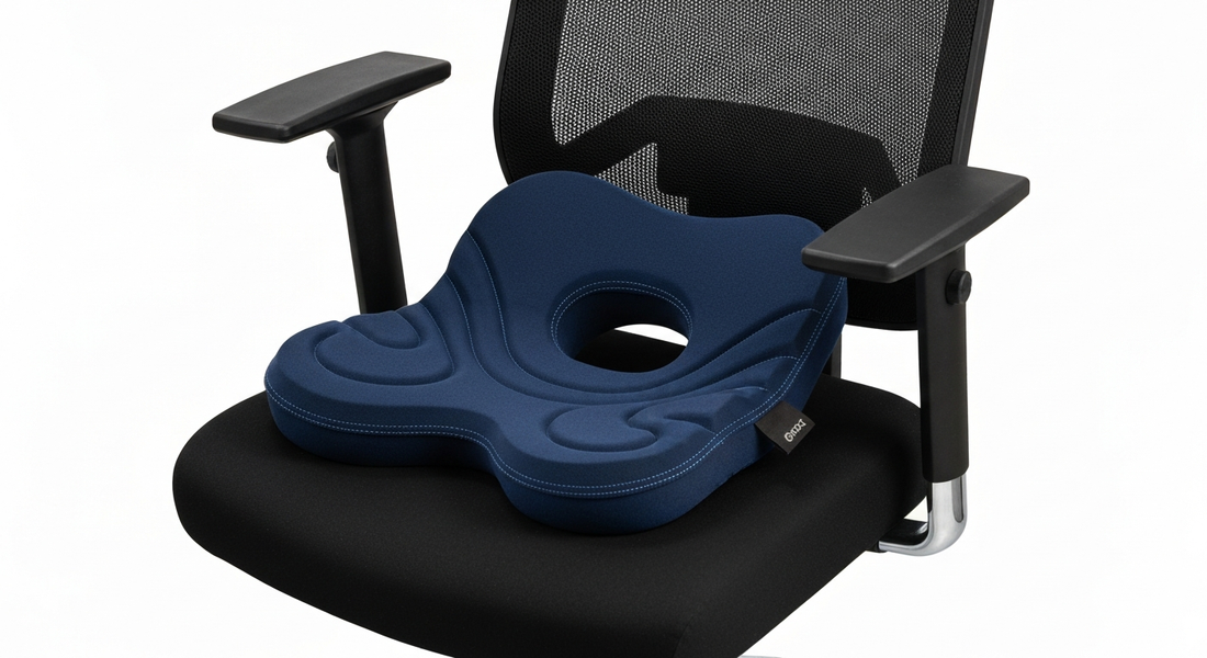 meilleur coussin sciatique — comparatif 2026 Ergosia