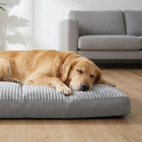 Un golden retriever endormi sur le matelas gris, dans un salon clair