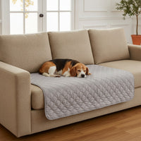 Mise en situation : beagle endormi sur la protection grise posée sur l'assise d'un canapé beige