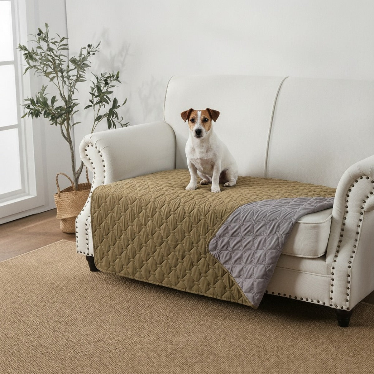 Mise en situation : jack russell assis sur un fauteuil protégé par la version kaki, revers gris visible