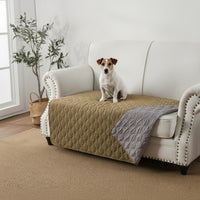 Mise en situation : jack russell assis sur un fauteuil protégé par la version kaki, revers gris visible