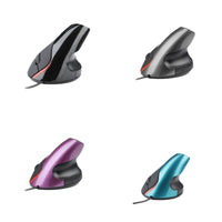 Les quatre coloris : noir, gris, violet et bleu