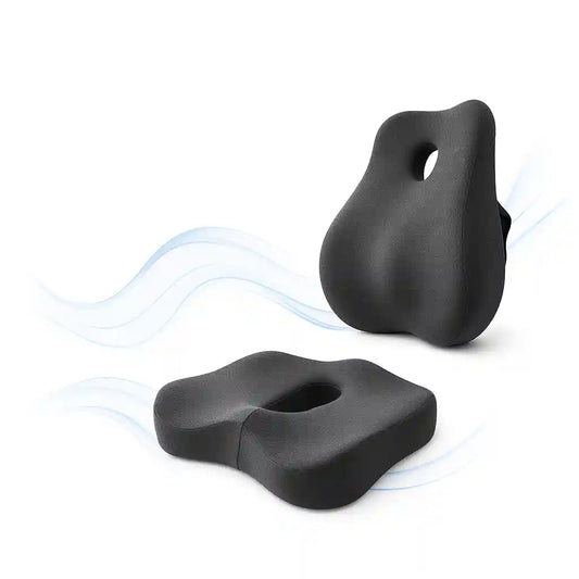ErgoCore deux composants coussin lombaire soutien dos assise ergonomique