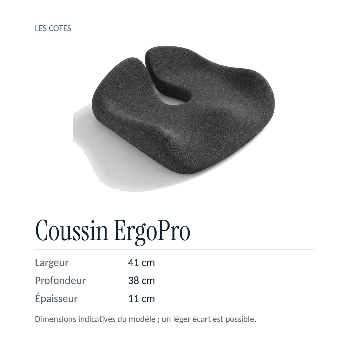 Coussin ErgoPro : environ 41 × 38 × 11 cm, dimensions indicatives
