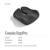 Coussin ErgoPro : environ 41 × 38 × 11 cm, dimensions indicatives